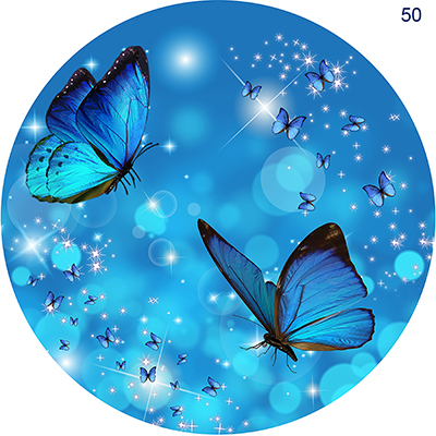 P5020824