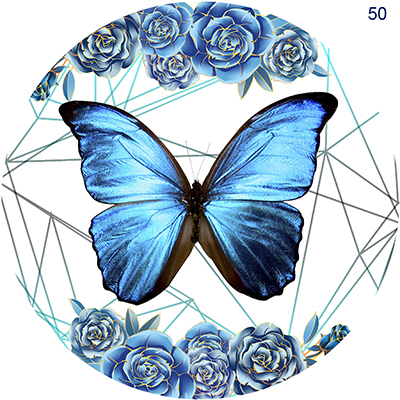 P5020856